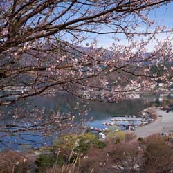 Le lac Kawaguchi 河口湖 © Aventure Japon 2016