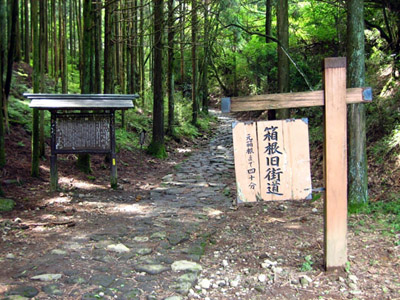 L’ancienne route du Tokaido, Hakone kyûkaidô 箱根旧海道 © Hakone-machi 箱根町