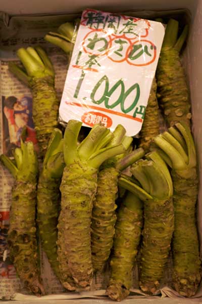 Racines de wasabi 山葵 sur le marché © Aventure Japon 2016