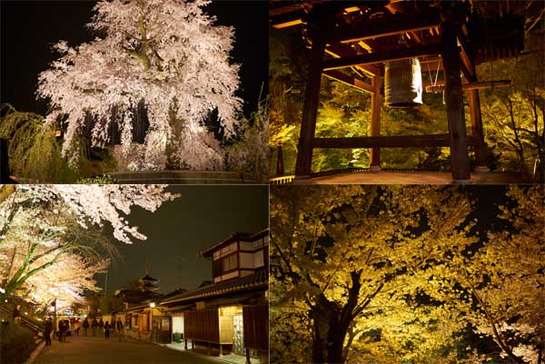 Le parc Maruyama et le Tôdaiji de nuit © Aventure Japon 2016