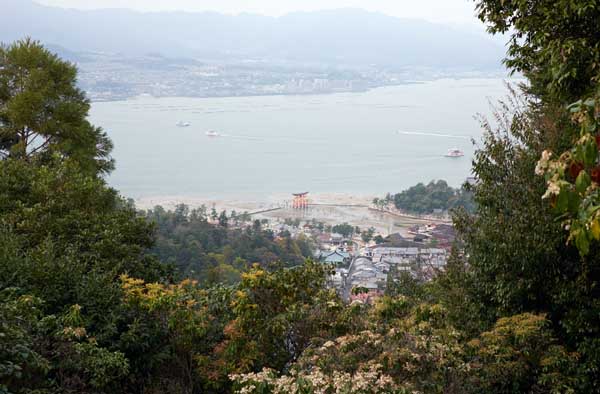 Le grand torii vu d'en haut à marée basse © Aventure Japon 2016