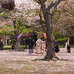 Les mariés au Kôrakuen 後楽園 d'Okayama 岡山 © Aventure Japon 2016