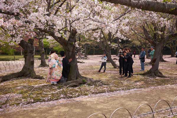 Les mariés du Kôrakuen © Aventure Japon 2016