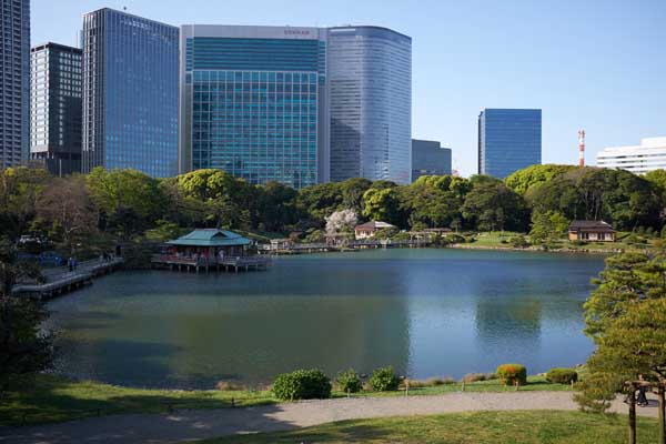 Le superbe jardin Hamarikyû entouré des grattes-ciels de Tokyo © Aventure Japon 2016