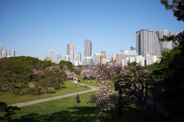 Le jardin Hamarikyû © Aventure Japon 2016