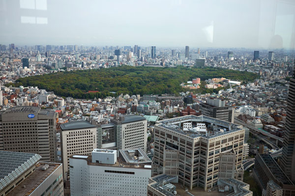 Le jardin Shinjuku gyoen depuis l'observatoire de Tokyo © Aventure Japon 2016