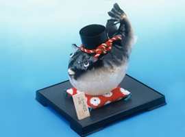 Lanterne réalisée à partir de la peau de torafugu, fugu chôchin フグ提灯