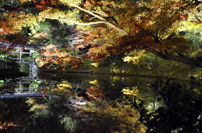 Les illuminations des feuilles d'automne, kôyô no light up 紅葉ライトアップ du temple Kôdaiji 高台寺 © Aventure Japon
