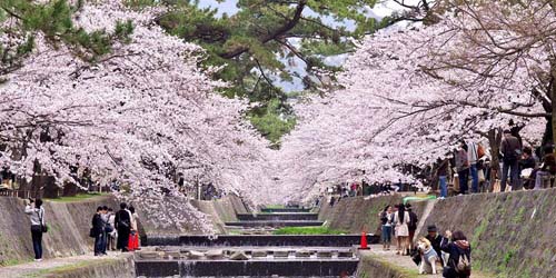 Le parc Shukugawa, Shukugawa kôen 夙川公園