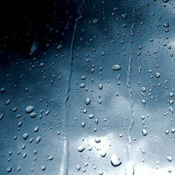 La pluie des prunes, tsuyu 梅雨 La pluie des prunes, tsuyu 梅雨