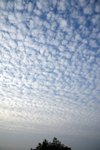 Altocumulus, kôseki-un 高積雲 © kokoten.raindrop.jp