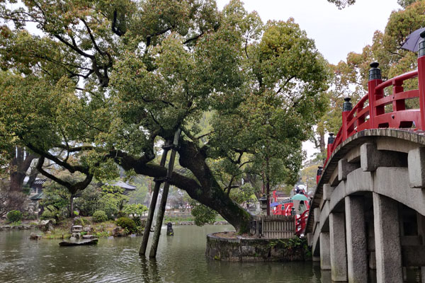 Le Dazaifu Tenman-gū 太宰府天満宮