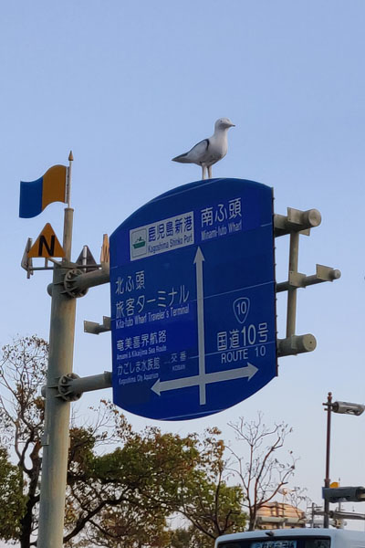 Panneau routier de Kagoshima près du terminal des ferries