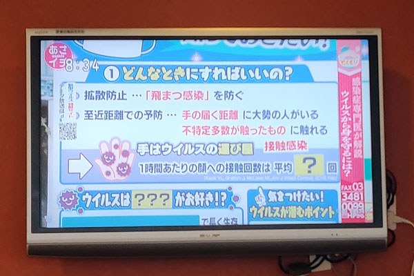 kumamoto virus television