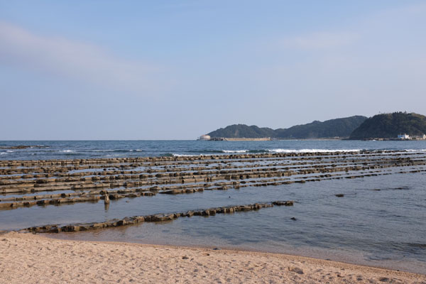 La formation géologique de l'île d'Aoshima, la planche à laver du démon (littéralement) Oni no sentakut-ita 鬼の洗濯板