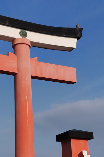 Un intrus sur le torii de l'amour