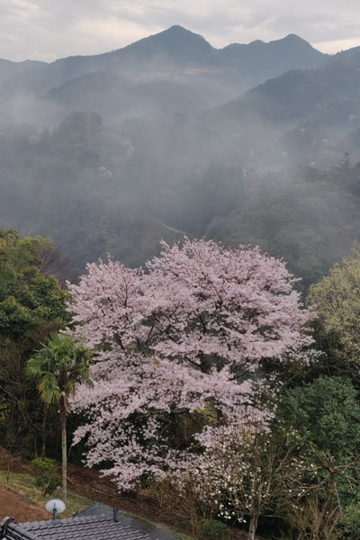 Vue depuis notre chambre au petit matin