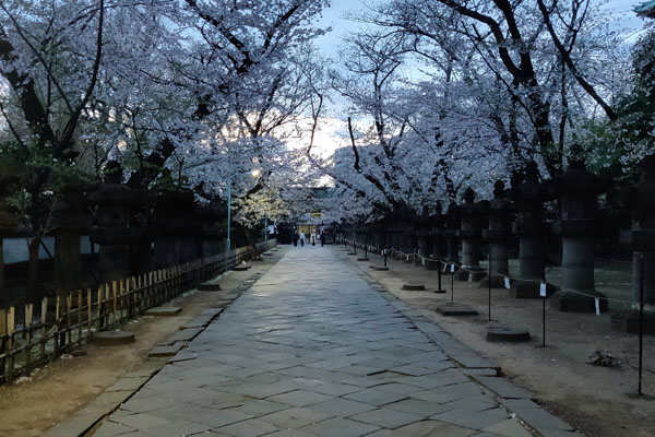 Balade dans le parc d'Ueno