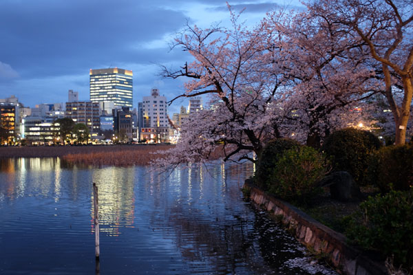 Balade dans le parc d'Ueno