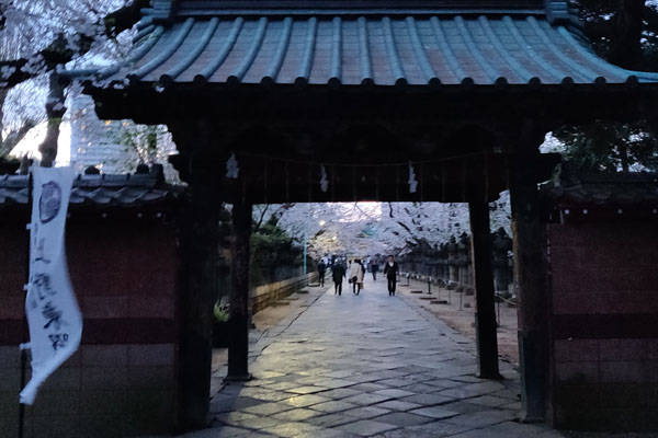 Le parc d'Ueno la nuit