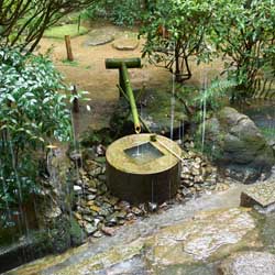 Le tsukubai 蹲踞 du temple Ryôanji 竜安寺 sous la pluie battante © Aventure Japon 2016