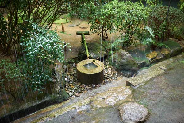 Le tsukubai 蹲踞 du temple Ryôanji 竜安寺 sous la pluie battante © Aventure Japon 2016