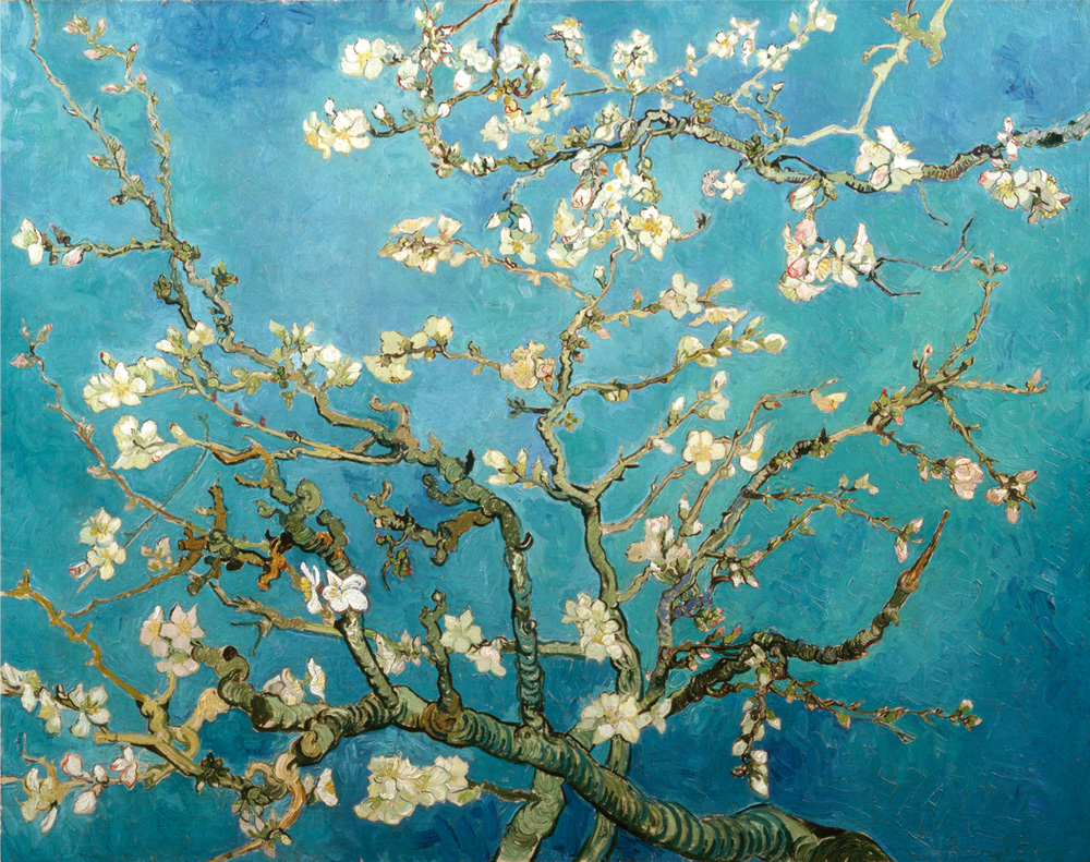 Amandiers en fleurs de Vincent Van Gogh © Musée Vincent Van Gogh