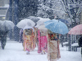 Tokyo sous la neige en janvier 2014 © Shimizu chikyû no space 清水知行のスペース
