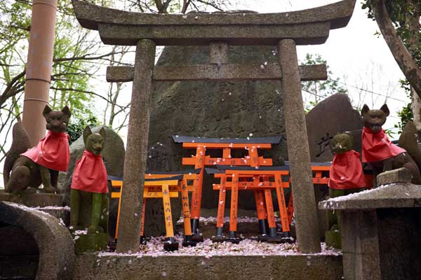 Au sommet du temple Fushimi Inari Taisha 伏見稲荷大社 avec ses torii et ses renards © Aventure Japon 2016