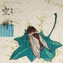 Estampe sur bois de l’époque Edo d’Utagawa Kuniyoshi 歌川国芳江 (1798-1861) représentant une cigale higurashi ヒグラシ 