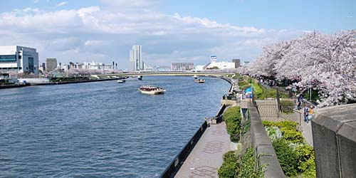 Le Parc Sumida, Sumida kôen 隅田公園, le long du fleuve Sumida 隅田川 © Tokyo Park