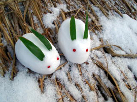 Le lapin des neiges, yuki-usagi 雪ウサギ © Usazô ウサゾウ